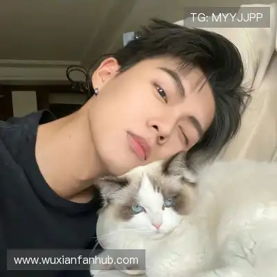 梅戈漪